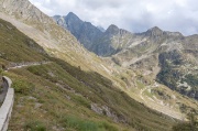 Anello Chierico-Corno Stella-Tonale-Masoni-90